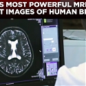 (Video) World's Most Powerful MRI Machine Captures First Stunning Brain Scans