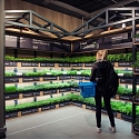 Dutch Shoppers Pick Own Herbs in Supermarket Garden