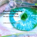 (PDF) KPMG - An Eye on The Future : Planning, Budgeting and Forecasting
