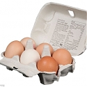 Cracked Up – The Latest On U.S. Egg Sales