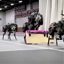 (Video) MIT's Robotic Cheetah can Now Leap Over Obstacles