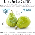 This Bill Gates-Backed Start-Up Keeps Avocados Ripe - Apeel Sciences