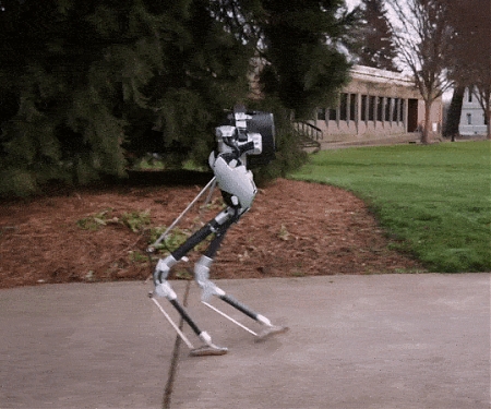(Video) Agility Robotics Introduces Cassie, a Dynamic and Talented Robot Delivery Ostrich