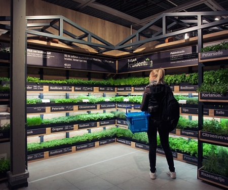Dutch Shoppers Pick Own Herbs in Supermarket Garden