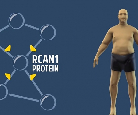 Gene-silencing Drug May Allow for Exercise-Free, Dieting-Free Weight loss