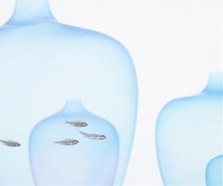 (Video) Jellyfish Vase By Nendo, 2017 Milan Design Week