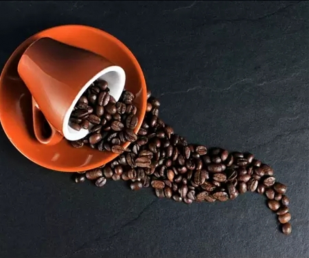 The More Coffee You Drink, the Longer You Live, Says Huge Research Report