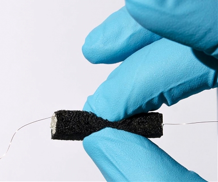 Trees Are Source for High-Capacity, Soft Batteries