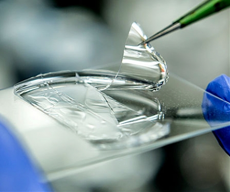 Flexible Film May Lead to Phone-Sized Cancer Detector