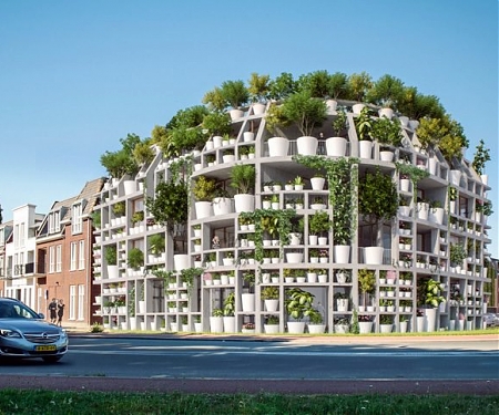 Dutch Villa Makes 'Forest Therapy' Accessible in The City