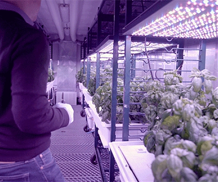 MIT - The Future of Agriculture is Computerized
