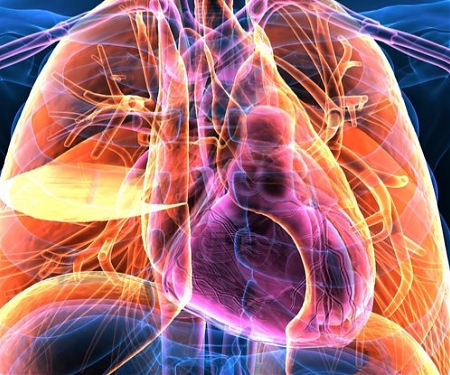 (PDF) A Completely New Type of Camera Can Actually See Through The Human Body