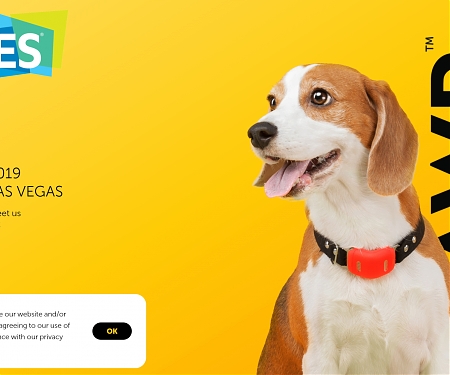 4G LTE Smart Pet Collar - RAWR