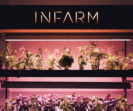 Infarm Raises $100M to Expand Its Urban Farming Platform to the U.S. and Beyond