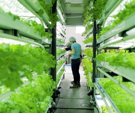 (Video) Shipping Container Design You Can Eat - Local Roots