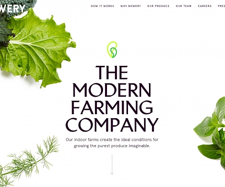 Bowery Raises $90M Series B For Pesticide-Free Farming