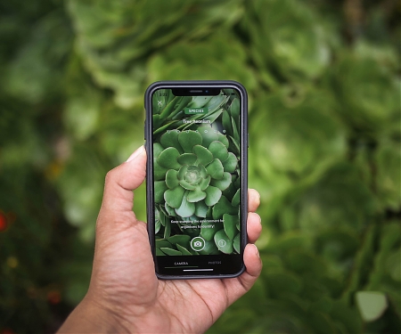 (Video) Seek App Lets Users Identify Plant and Animal Species in Real Time