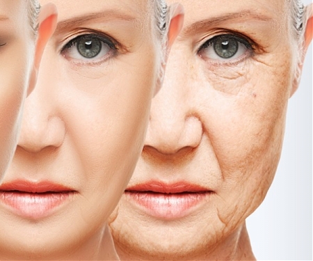 Anti-Ageing Pill? Breakthrough as Scientists Discover How to Slow Down the Ageing Process