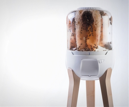 Homehive - Honey I Shrunk The Beehive !