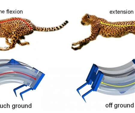 (Paper) Inspired by Cheetahs, Researchers Build Fastest Soft Robots Yet