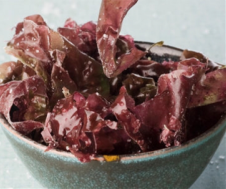 Algae Is Emerging As a New Superfood