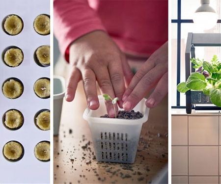 (Video) IKEA Launches Indoor Garden That Can Grow Food All Year-Round
