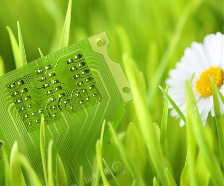 Plant Spies : DARPA’s Plan to Create Organic Surveillance Sensors