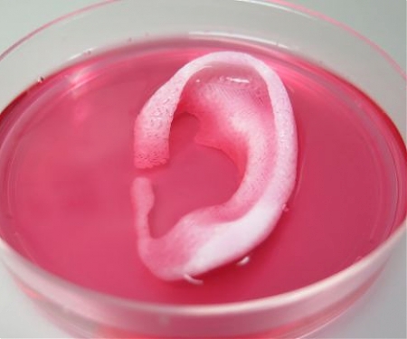 This 3D Printer Creates Human Muscles And Tissues That Could Replace Real Ones
