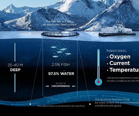 Remote-Controlled Salmon Farms to Operate Off Norway in 2020