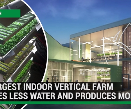 (Video) World's Largest Indoor Vertical Farm Uses 95% Less Water and Produces More Food