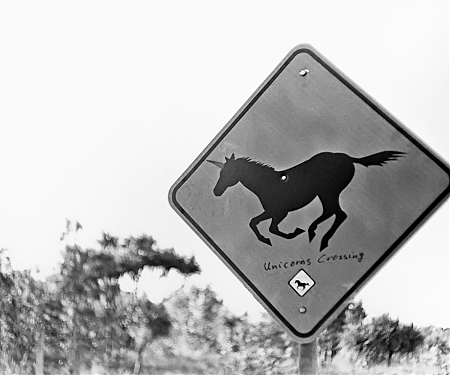 What Downturn ? 11 Companies Became Unicorns in Q1