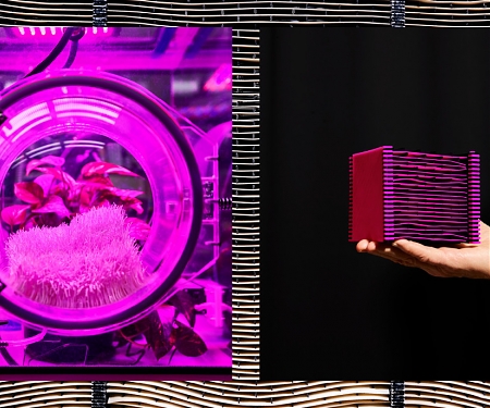 One Man’s Two-Decade Quest to Suck Greenhouse Gas Out of the Sky