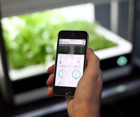 (Video) Veggie-Growing Kitchen Appliances - Homefarm