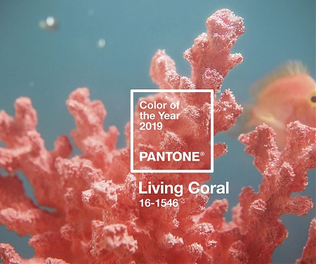 Pantone's Color of the Year is a Vibrant Start to 2019