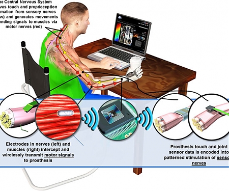 (Video) DARPA Moving Forward on Developing Prostheses with Sense of Touch