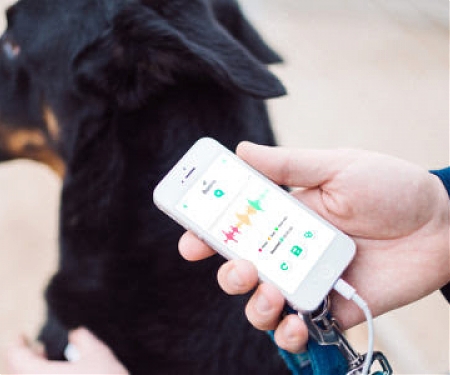 On-Demand Petcare Gains Traction