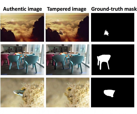 (PDF) Adobe Research : Spotting Image Manipulation with AI