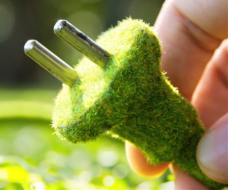 (Video) Dutch Company Using Living Plants to Power Streetlights