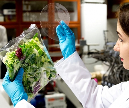 Biodegradable Packages Will Keep Your Food Fresh