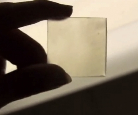 (Video) Window Panes Made of Transparent Wood – It's Not as Crazy as It Sounds