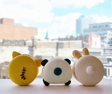 Animal Macarons That Are Too Adorable To ‘Pig’ Out On