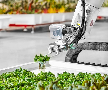 Start-up 'Iron Ox' Created The First Farm in America Run Entirely by Robots