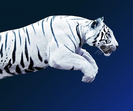 (PDF) Mckinsey - Corporate Asia : A Capital Paradox