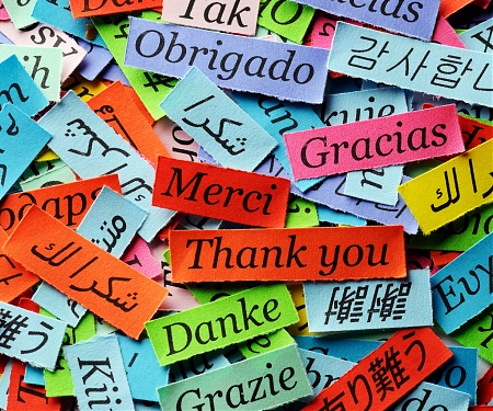 (PDF) The Global Language Network and its Association with Global Fame