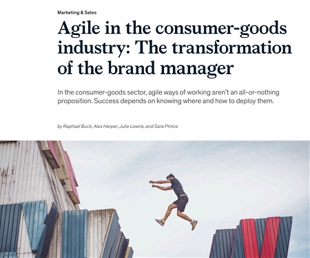 (PDF) Mckinsey - Agile in The Consumer-Goods Industry