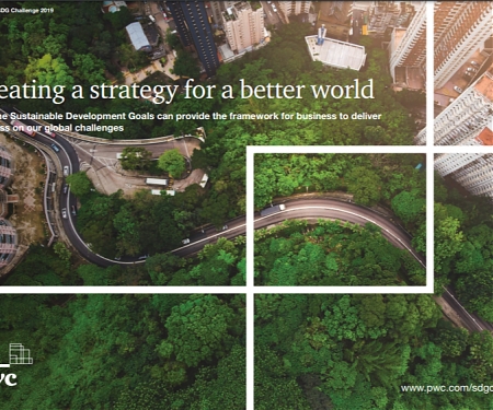(PDF) PwC’s SDG(Sustainable Development Goals) Challenge Report 2019