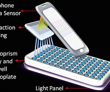 Smartphone Sensor Spots Cancer in Several Samples Simultaneously