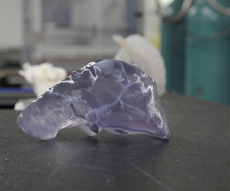 GE's New Software Could 3D Print Organ Replicas On Demand