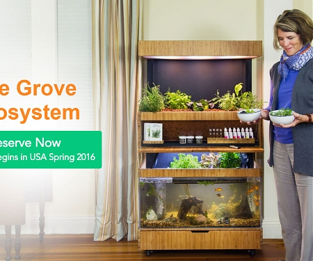 Trend Watch : Apartment Farming