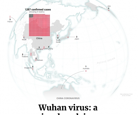 Wuhan Virus : A Visual Explainer